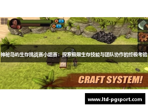 神秘岛屿生存挑战赛小组赛：探索极限生存技能与团队协作的终极考验