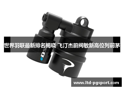 世界羽联最新排名揭晓 飞汀杰蔚阀敏新高位列前茅