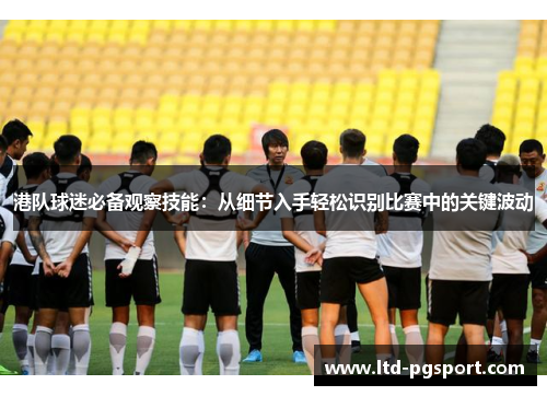 港队球迷必备观察技能：从细节入手轻松识别比赛中的关键波动