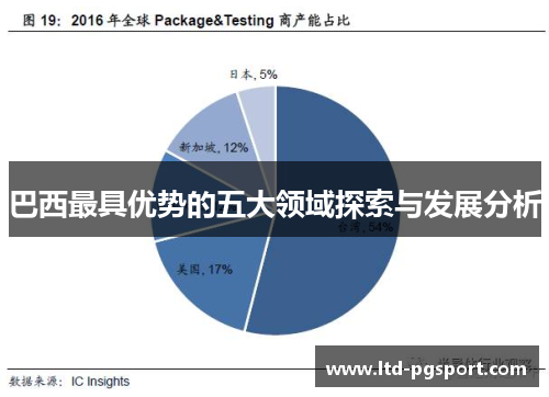 巴西最具优势的五大领域探索与发展分析