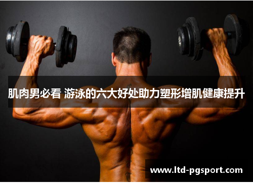 肌肉男必看 游泳的六大好处助力塑形增肌健康提升