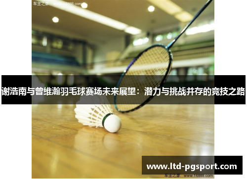 谢浩南与曾维瀚羽毛球赛场未来展望：潜力与挑战并存的竞技之路